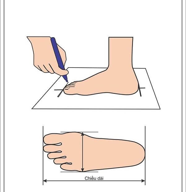 Cách đo size giày tại nhà chính xác