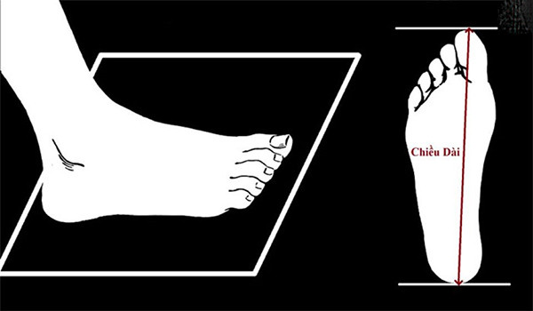 Cách đo size giày Adidas chuẩn xác